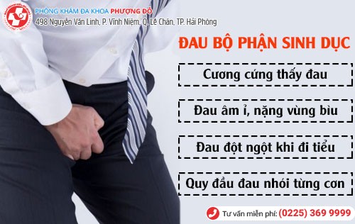 Biểu hiện đau bộ phận sinh dục ở nam giới Biểu hiện đau bộ phận sinh dục nam