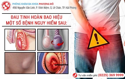 Đau tinh hoàn là bệnh gì?