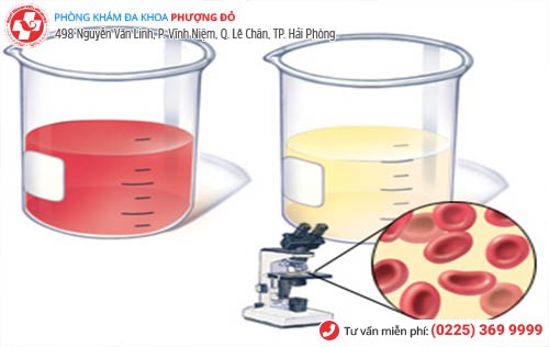 tiểu ra máu là bệnh gì