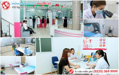 đa khoa phượng đỏ