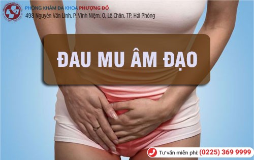 Nguyên nhân đau mu âm đạo Đau mu âm đạo
