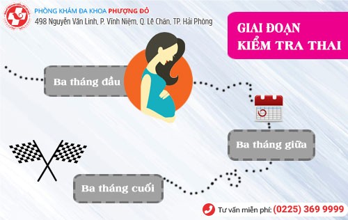 Các mốc giai đoạn kiểm tra thai Giai đoạn kiểm tra thai