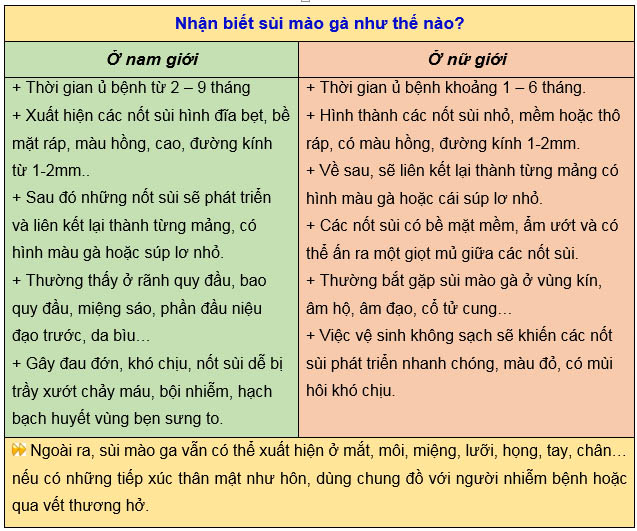 cách nhận biết sùi mào gà