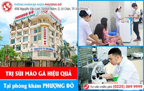 Chi tiết hình ảnh bệnh sùi mào gà tại các vị trí trên cơ thể