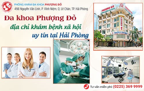 địa chỉ chữa bệnh hoa khế địa chỉ chữa bệnh hoa khế