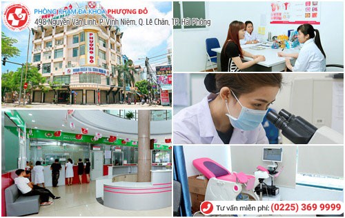 Phượng Đỏ thực hiện xét nghiệm nhiều ca bệnh xã hội Phượng Đỏ thực hiện xét nghiệm nhiều ca bệnh xã hội