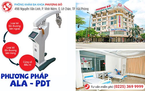 Phòng Khám Phượng Đỏ chữa sùi mào gà uy tín ở Hải Phòng Phòng Khám Phượng Đỏ chữa sùi mào gà uy tín ở Hải Phòng
