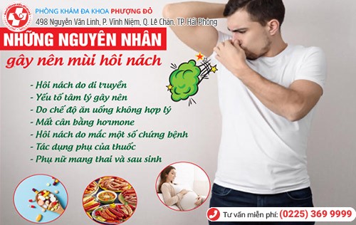 nguyên nhân hôi nách nguyên nhân hôi nách