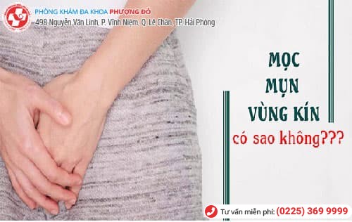mọc mụn vùng kín mọc mụn vùng kín