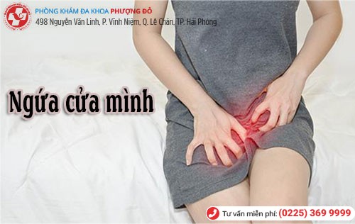 Nguyên nhân ngứa cửa mình Ngứa cửa mình