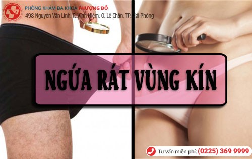Nguyên nhân ngứa rát vùng kín Ngứa rát vùng kín