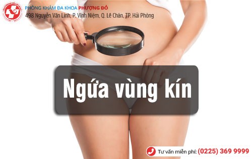Nguyên nhân ngứa vùng kín Thuốc trị ngứa vùng kín