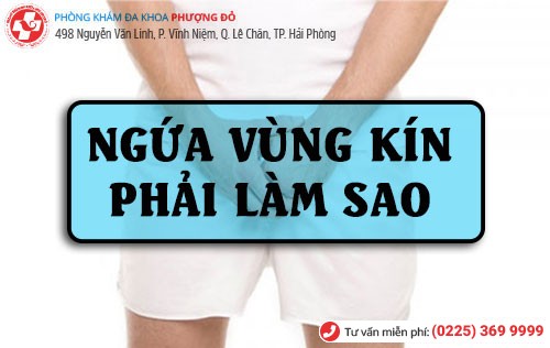 Ngứa vùng kín phải làm sao? Ngứa vùng kín