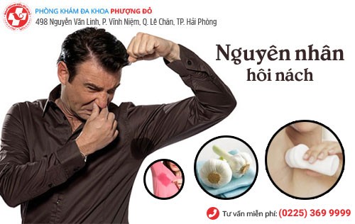 Nguyên nhân gây bệnh hôi nách Nguyên nhân hôi nách