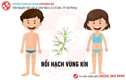 Nguyên nhân nổi hạch vùng kín nam và nữ Nổi hạch vùng kín