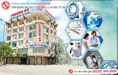 Phượng Đỏ - phòng khám bệnh sùi mào gà chính quy, chuyên nghiệp Phượng Đỏ - phòng khám bệnh sùi mào gà chính quy, chuyên nghiệp