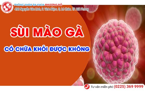 Sùi mào gà có chữa được không phụ thuộc nhiều yếu tố Sùi mào gà có chữa được không phụ thuộc nhiều yếu tố