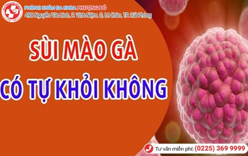 sùi mào gà có tự khỏi không